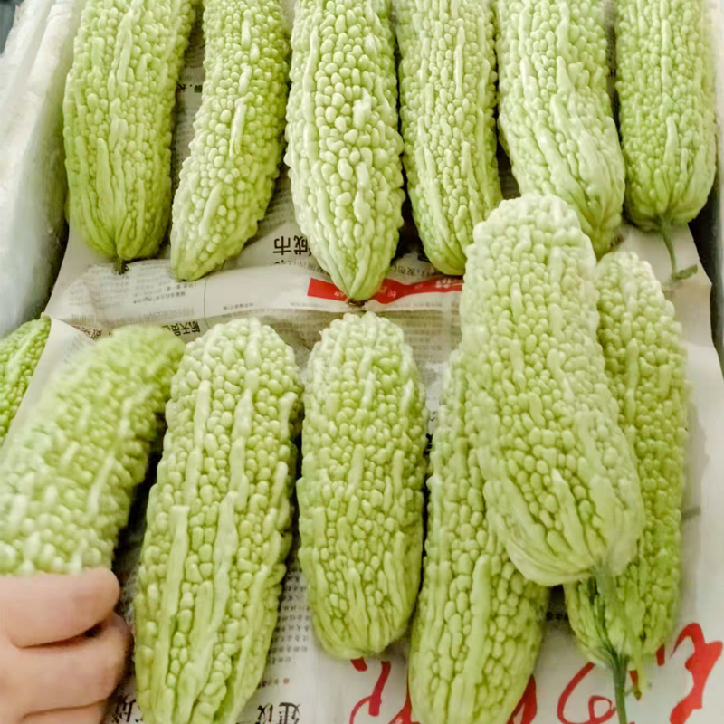 白苦瓜黒麻子苦瓜青苦瓜产地看货论价保质保量