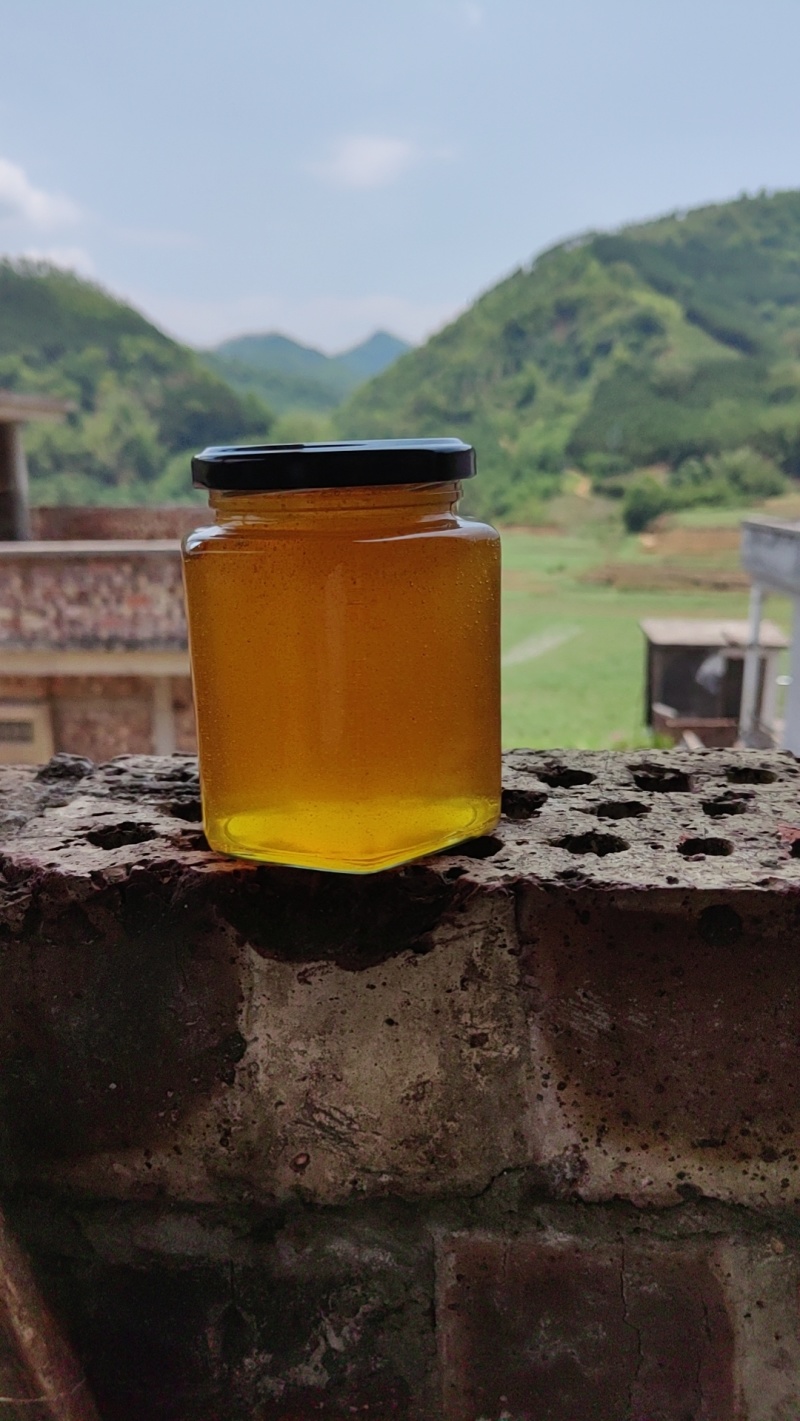 深山蜂蜜