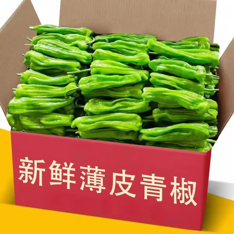 苏椒泡椒薄皮椒芜湖椒产地一手货源支持发货
