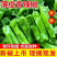 苏椒泡椒薄皮椒芜湖椒产地一手货源支持发货