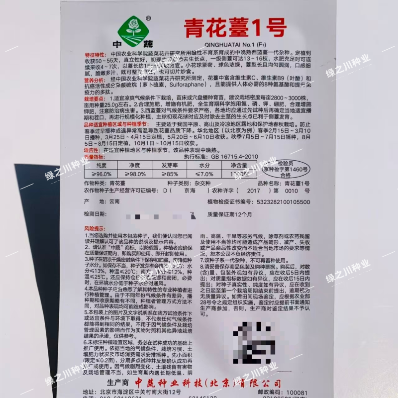 青花薹1号西兰苔种子农科院选育杂交西兰薹种子可连续采收