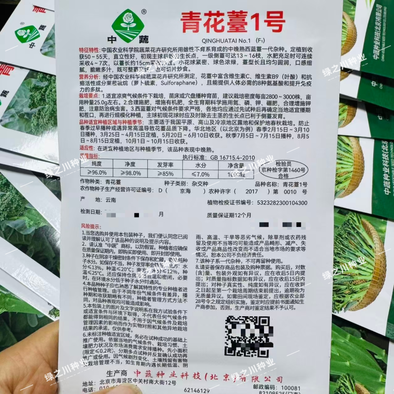 中蔬甜杆西兰苔种子青花薹1号西兰薹种子侧薹多春秋西洋芥兰