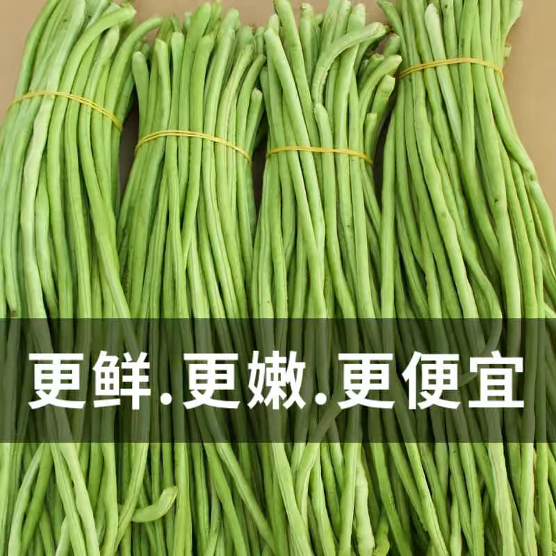 白条豆角长豆角缸豆产地一手货源以质论价