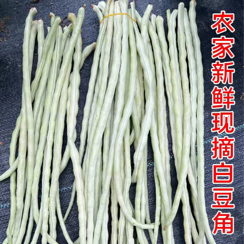 白条豆角长豆角缸豆产地一手货源以质论价