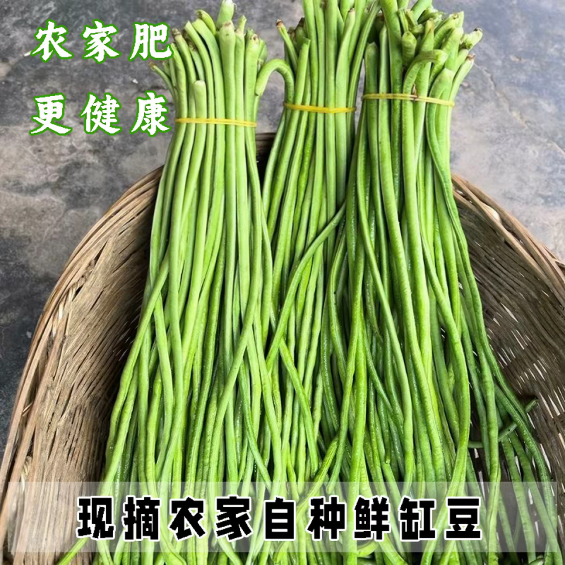 白条豆角长豆角缸豆产地一手货源以质论价