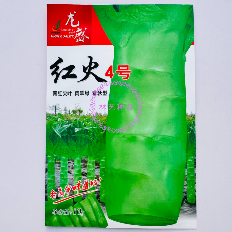 红火4号红尖叶莴笋种子耐寒春秋高桩长棒型香莴笋莴苣菜