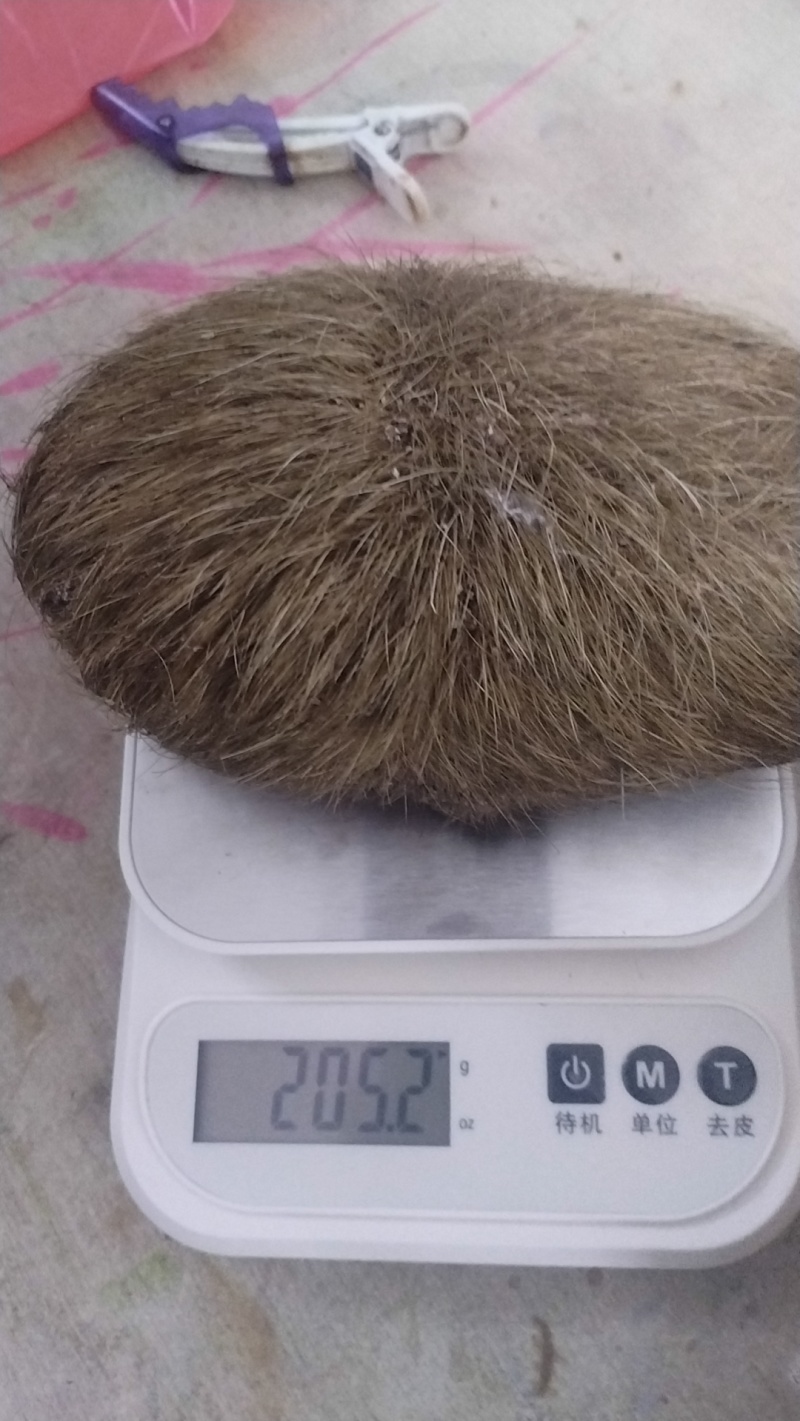 猪宝，205克