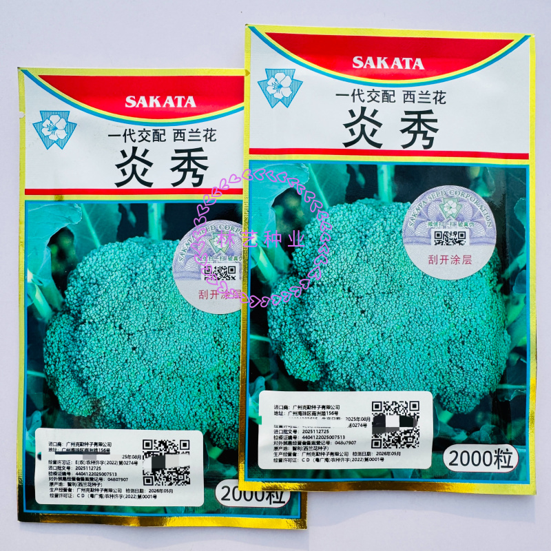 炎秀一代杂交进口西兰花种子中熟较耐热花球色绿花粒均匀