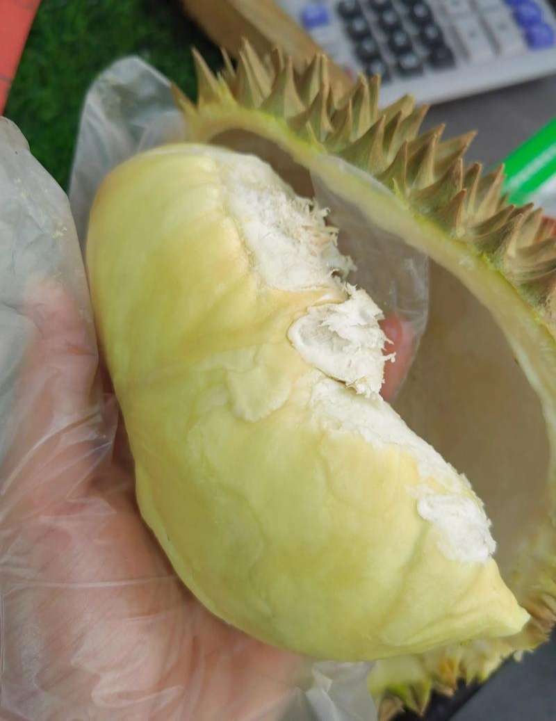 金枕榴莲一手批发，a果保5房，货源充足，质量保证。
