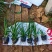 100万精品崂峪苔草基地直发，崂峪苔草基地，支持视频实地