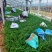 100万精品崂峪苔草基地直发，崂峪苔草基地，支持视频实地