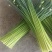 甘肃韮苔。韮菜花