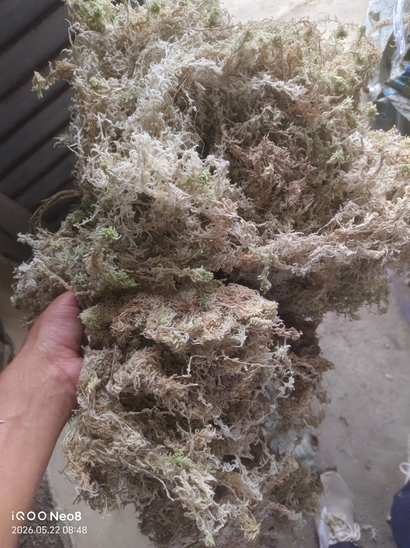 贵州优质水苔