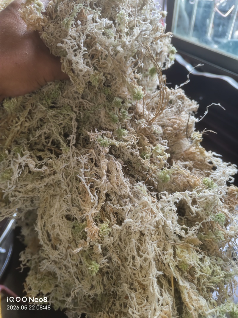 贵州优质水苔
