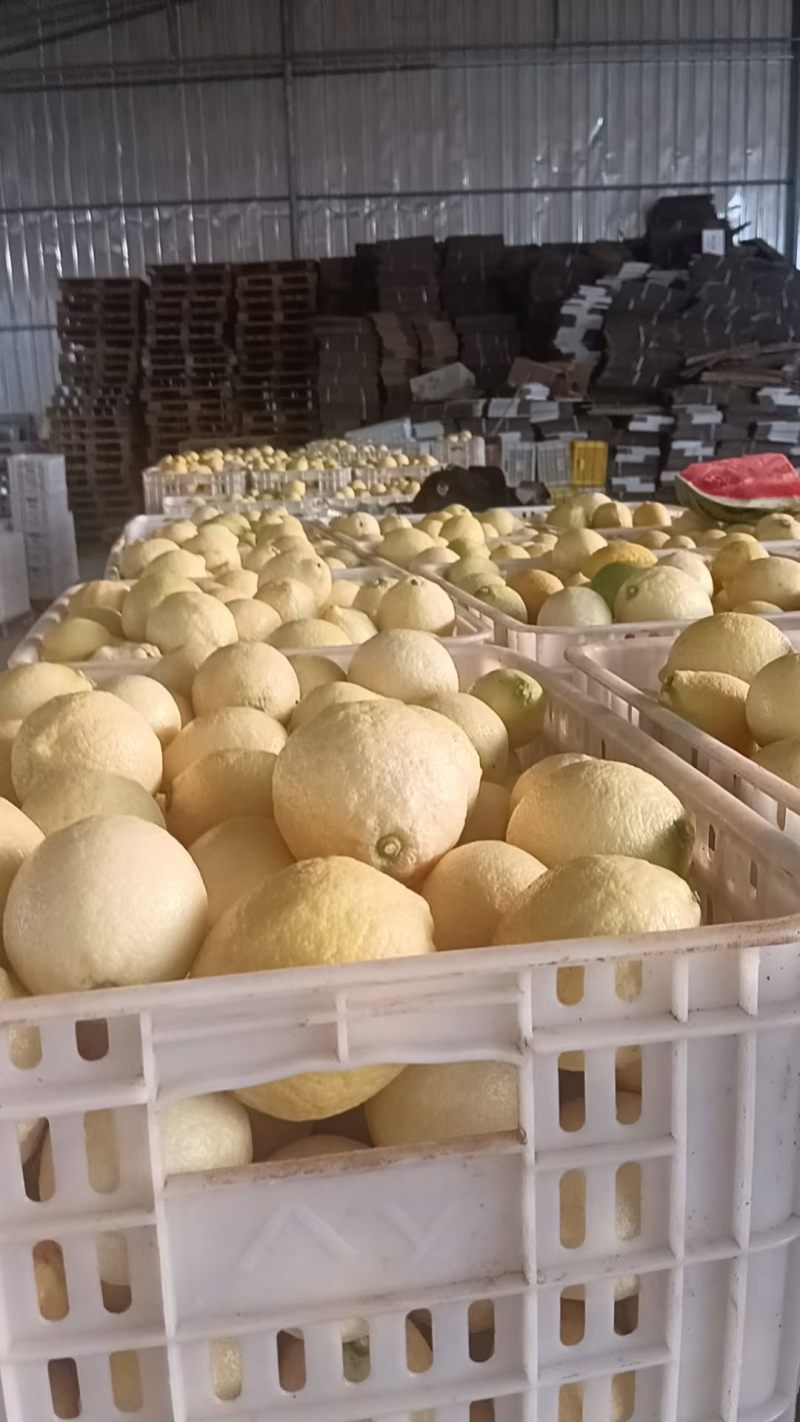 阳光好柠，地道尤力克