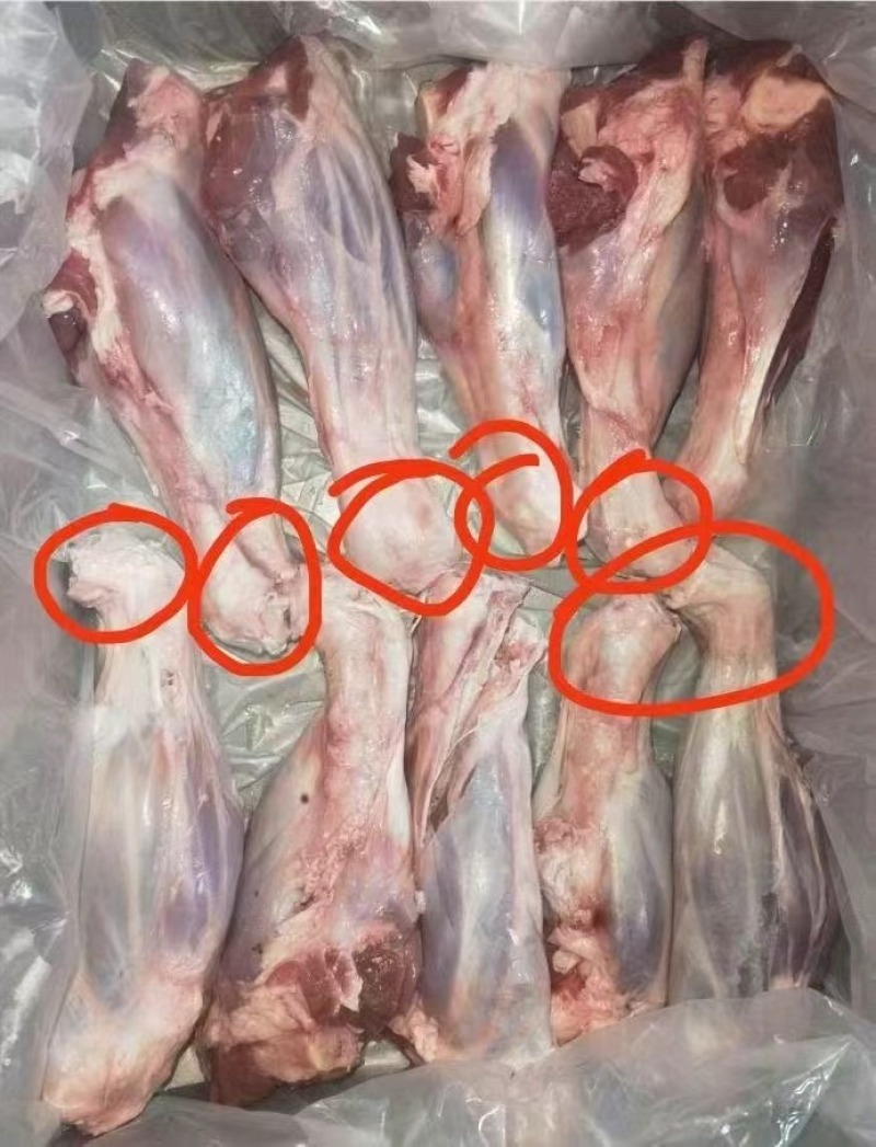 羊腱子筋