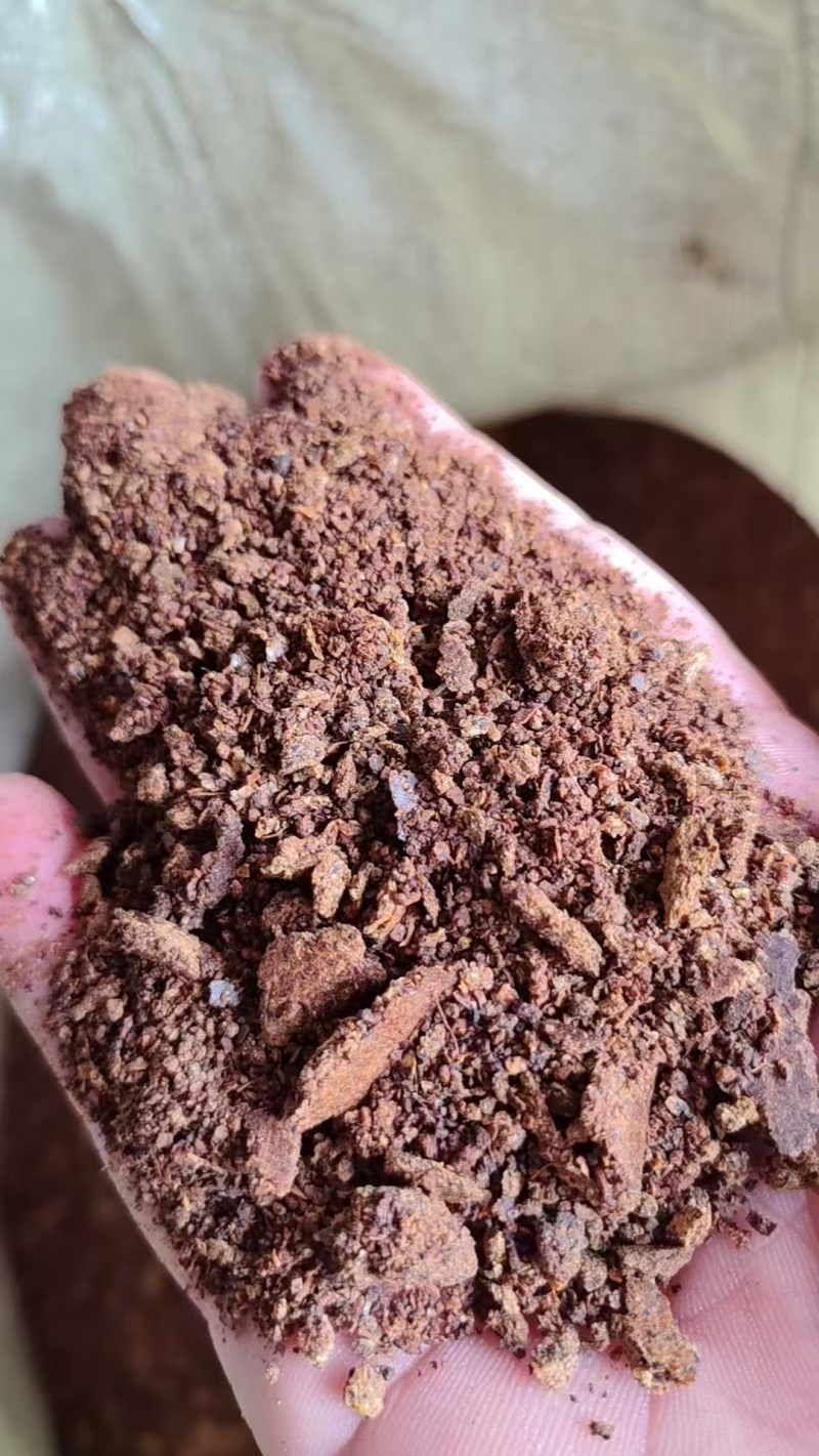 大量供应热乎的菜籽饼