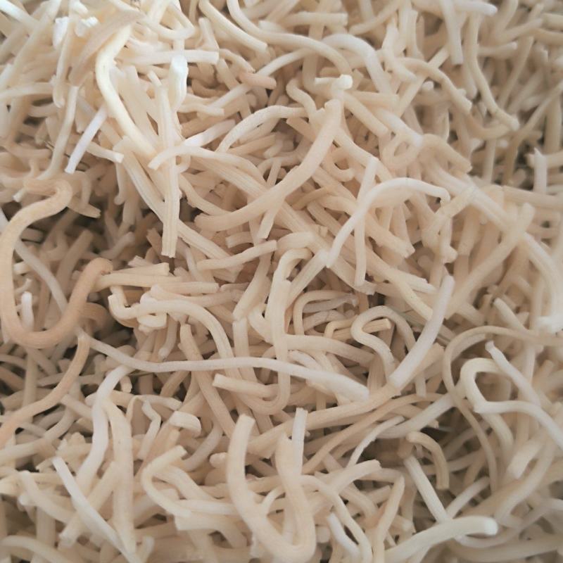 灯心草批发灯心草产地直销质量保证量大从优