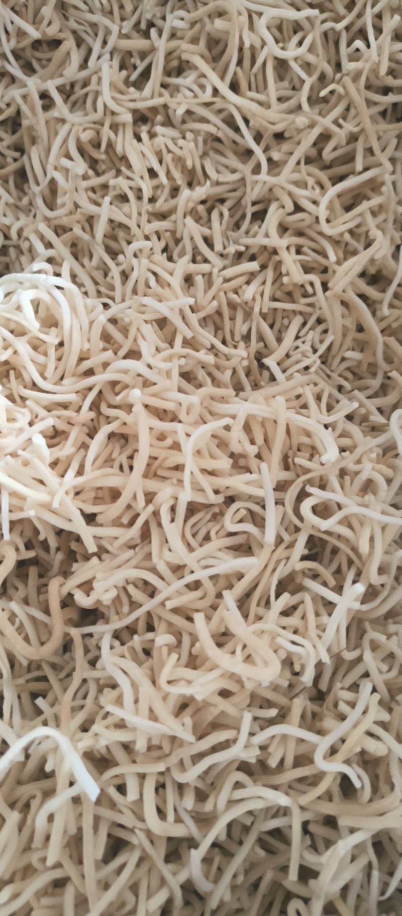 灯心草批发灯心草产地直销质量保证量大从优
