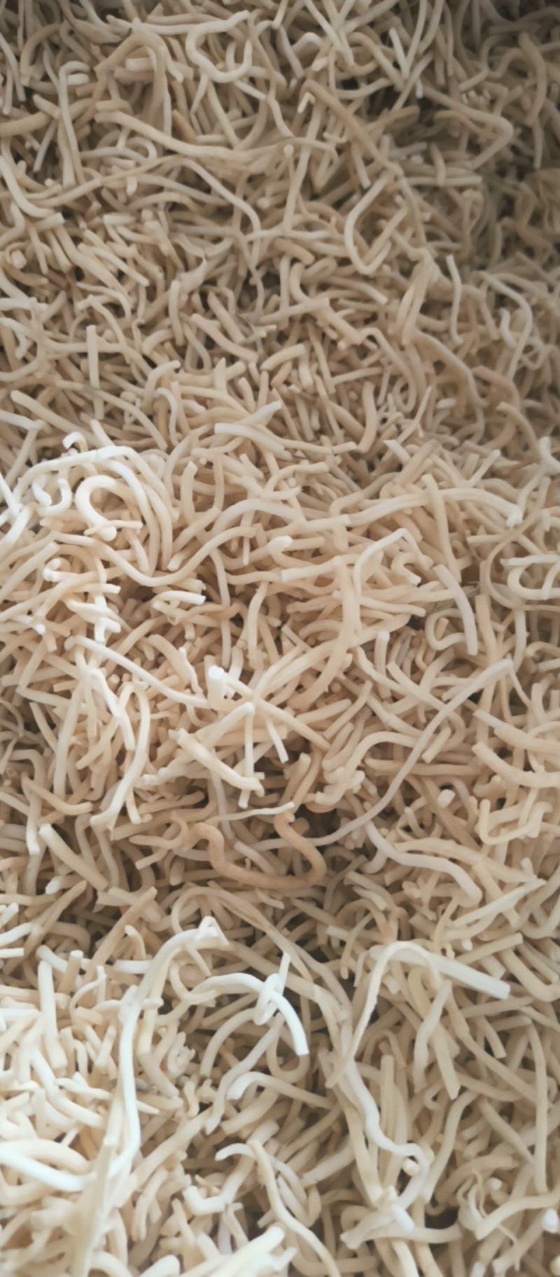 灯心草批发灯心草产地直销质量保证量大从优