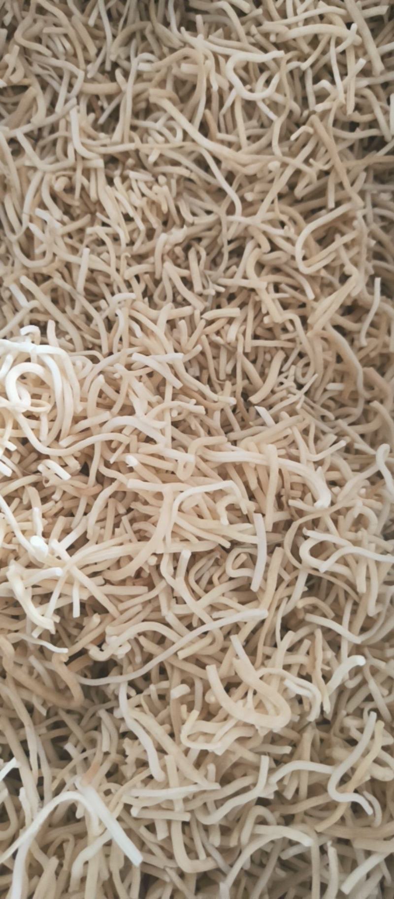 灯心草批发灯心草产地直销质量保证量大从优