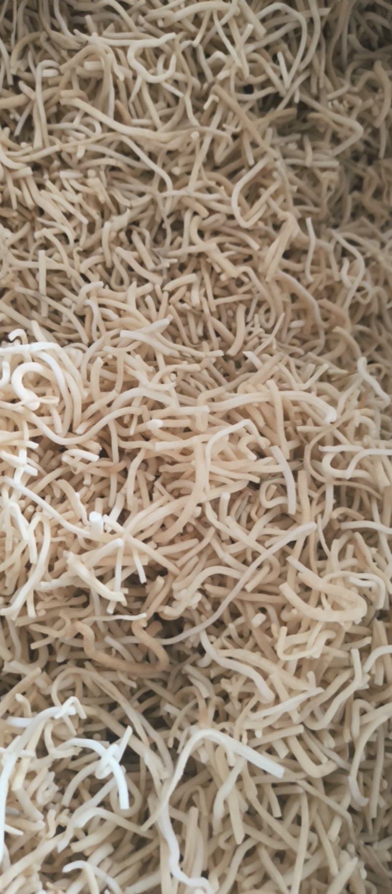 灯心草批发灯心草产地直销质量保证量大从优