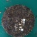 古树普洱茶茶饼/云南产区直发/货源充足/大量有货