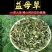 益母草中药材批发益母草产地直销量大从优可加工粉