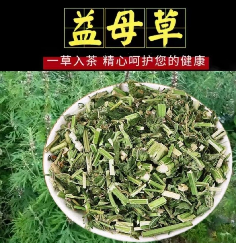 益母草中药材批发益母草产地直销量大从优可加工粉