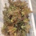 香椿芽