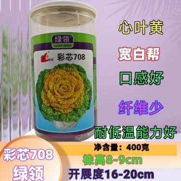 彩芯708黄心菜种子黄心乌种子株型紧凑美观大田基地
