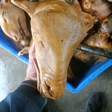 火烧羊头，冰点价格，工厂直发，量大从优