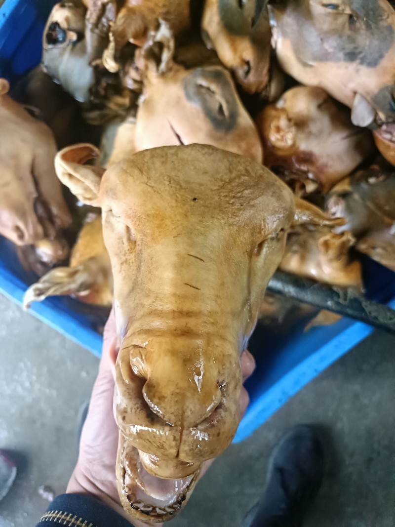 火烧羊头，冰点价格，工厂直发，量大从优
