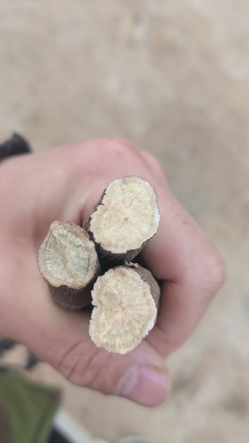 赤峰杂花赤芍-25年干货15吨，7年生，自产自销！