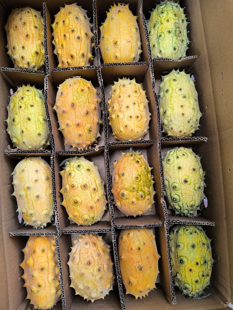 火参果批发