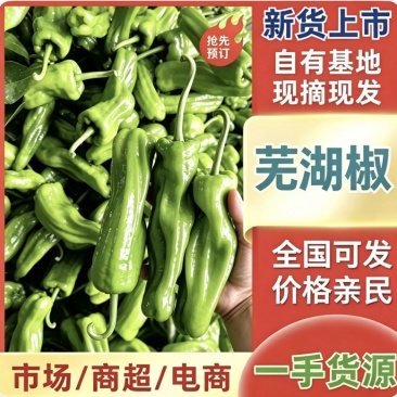 《上新》高山新鲜芜湖椒，大青椒个头大品质好，量大