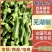 《上新》高山新鲜芜湖椒，大青椒个头大品质好，量大