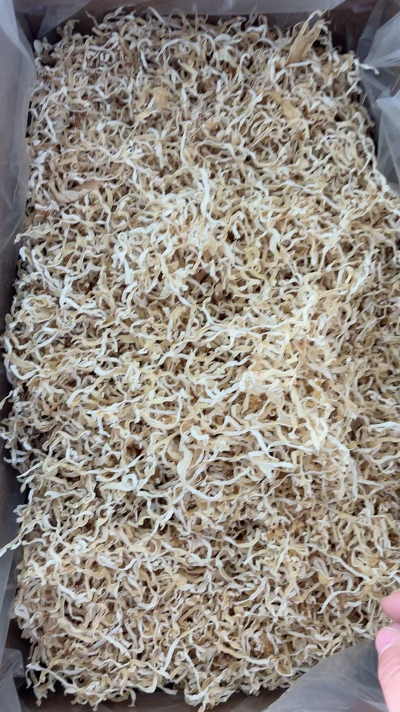 新货白木耳丝产地直销，一手货源