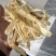 玉竹