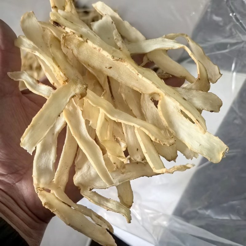 玉竹