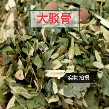大驳骨中药材正品大驳骨中药材无硫正品质量保证