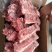 内蒙满肉羊蝎子