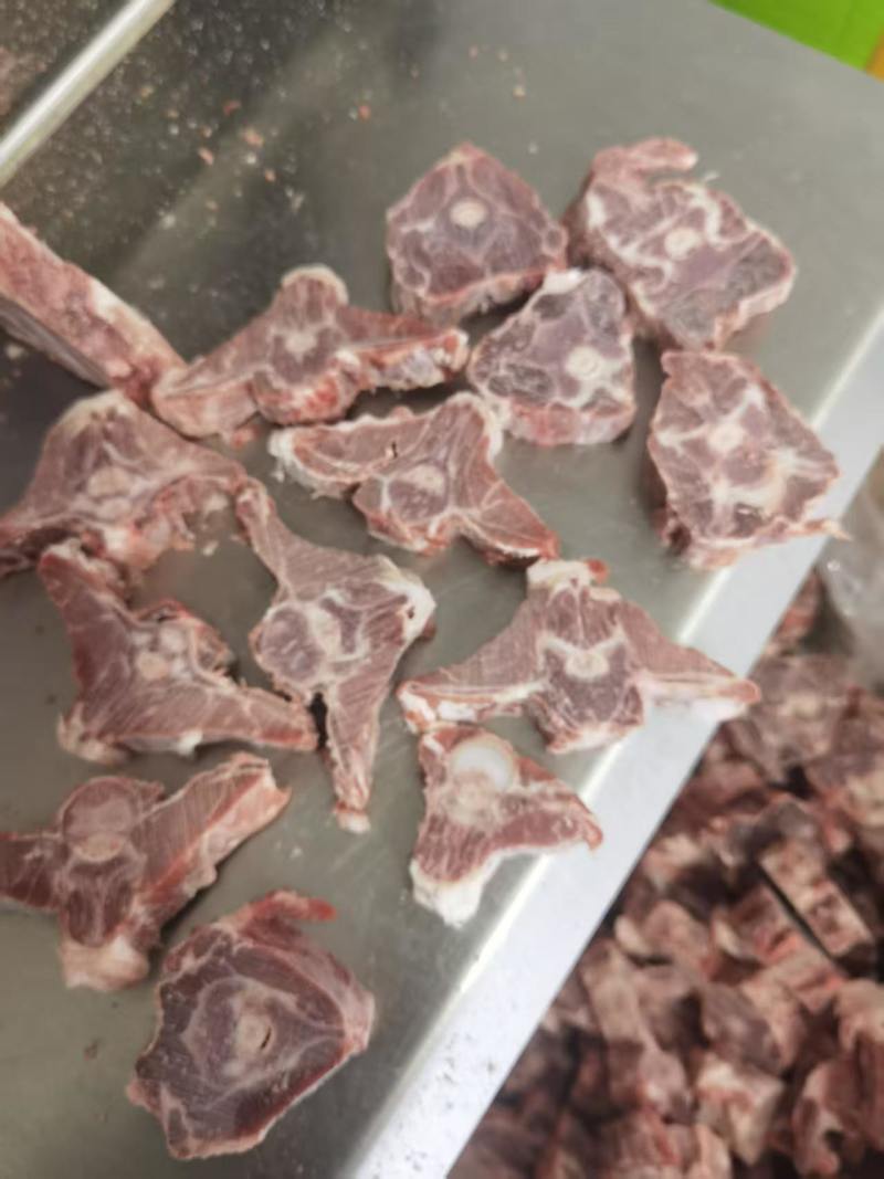 内蒙满肉羊蝎子