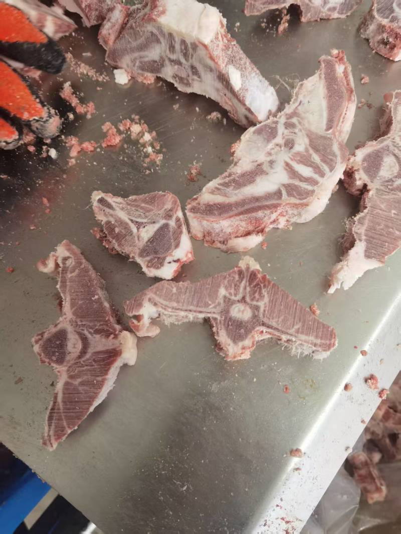 内蒙满肉羊蝎子