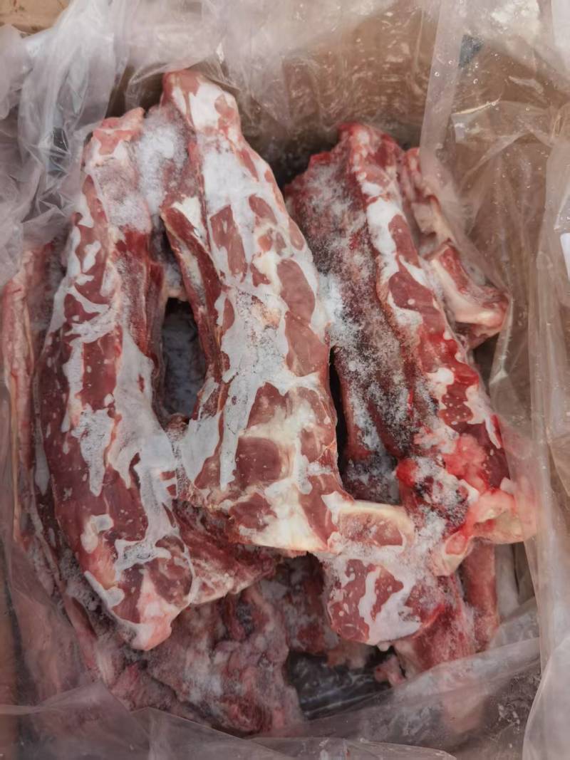 内蒙满肉羊蝎子