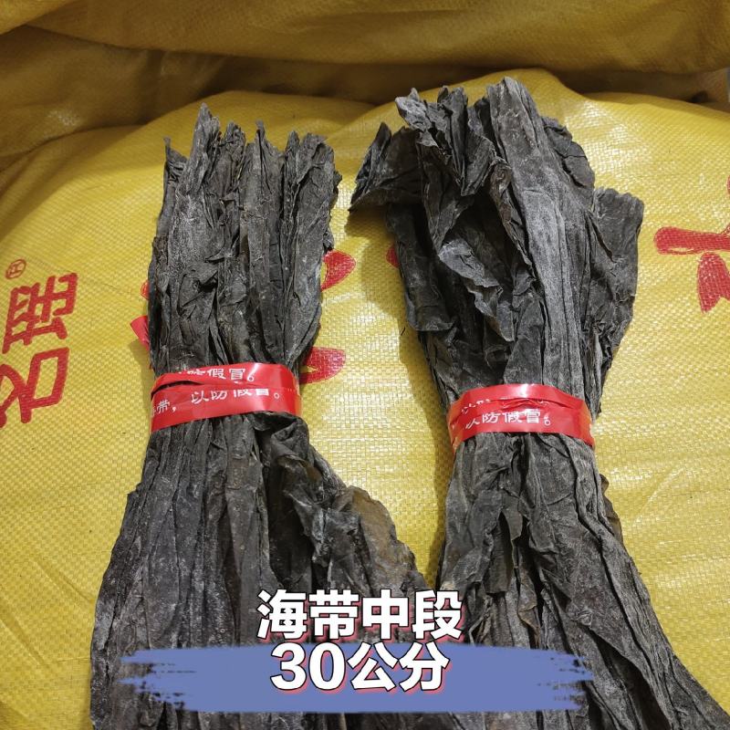 霞浦海带中段，量大可聊