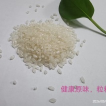 供应圆粒珍珠米