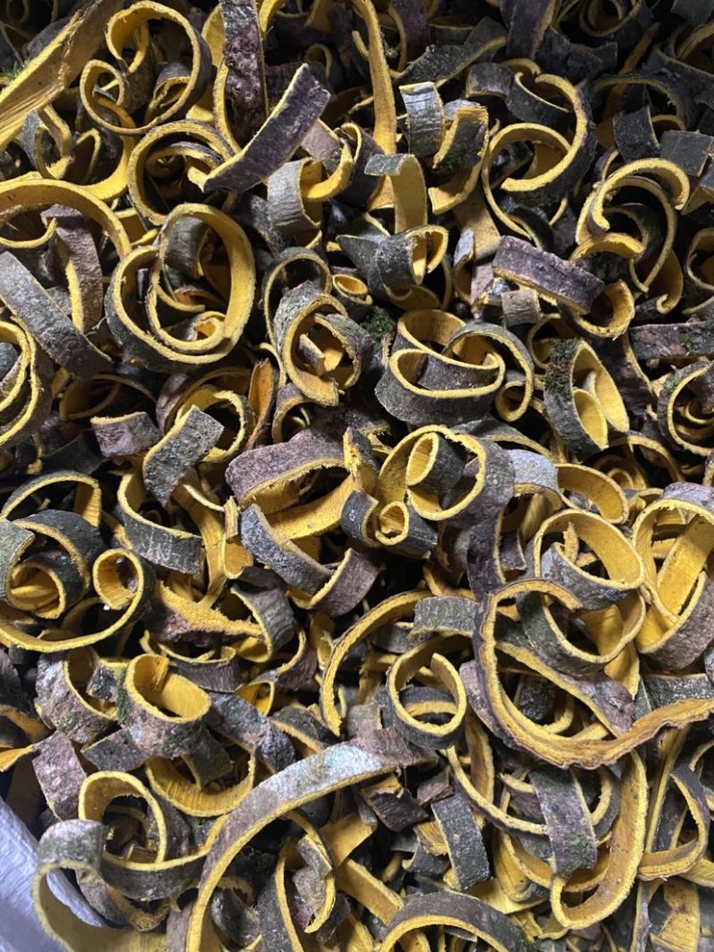 带皮黑丝