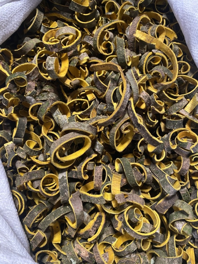 带皮黑丝