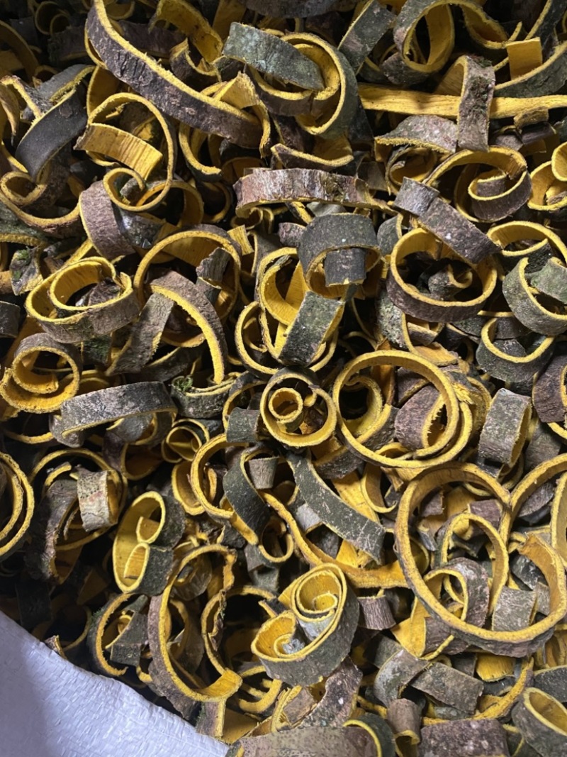 带皮黑丝